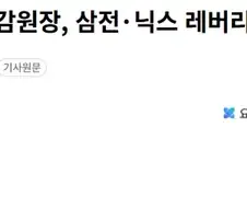 금감원장:삼전닉스 레버 실패 ㅈㅅ ㅎㅎ