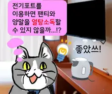 채-신 ㅈ소고양이 만화