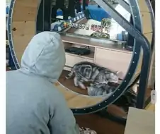 물건 사기 전에 무조건 물어봐야 되는 이유