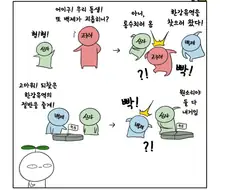 신라 전성기 요약.manhwa