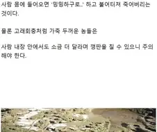 민물고기 회는 안되는데 바닷고기 회는 괜찮은 이유