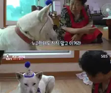 할미의 조언