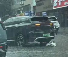 BYD 늘어나고 있는데 무슨 문제냐..