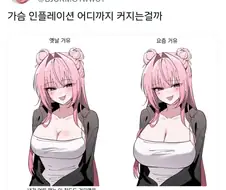 찌찌 인플레이션 짤