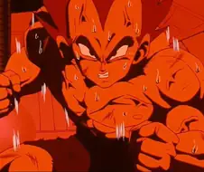 [드래곤볼]베지터의 고독함을 보는 부르마