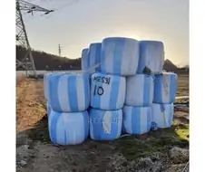 시골에서 메시를 본 사람.jpg