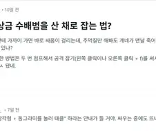붉은사막) 적 싸움중에 태클하는 법 팁