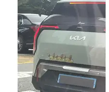 이브이 좋아하는 차주