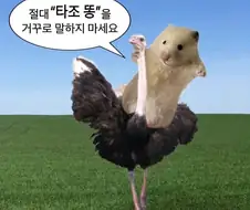 타조 똥 나만 거꾸로 안써짐??