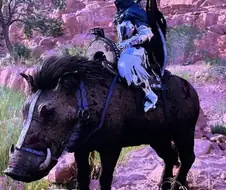 붉은사막이 갓겜인 이유