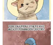 고독사 현장에서 발견된 강아지.manhwa