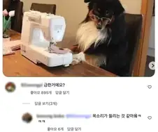 ? : 언니, 이거 집에서 했죠? 이러면 마감 안 예뻐요