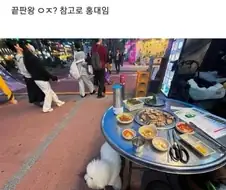 혼밥왕?