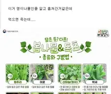 독초를 훔쳐간 도둑