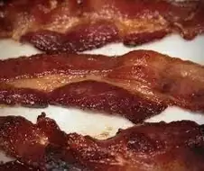 대체육)뭐? 이산화탄소로 고기를 만든다?