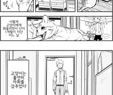 AR고양이 앱 다운받고 키우는.Manhwa