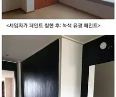 49평 아파트 내부에 페인트칠을 한 세입자