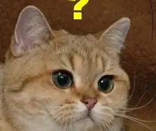 솔직히 나 정도면 못생긴거 아님?