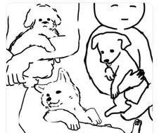 안겨있는걸 당연하다고 여기는 강아지들.JPG