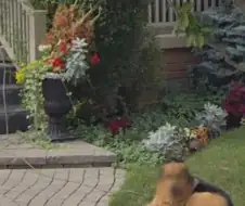 구글맵의 프라이버시 보호