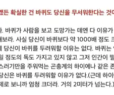 바퀴벌레를 두려워할 필요가 없는 이유.JPG