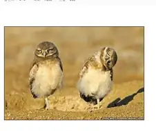 소년 만화 클리셰 특징.Manhwa