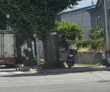 순간 도로위 팬텀인줄 알았네