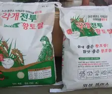 사펑엣지러너) 이 작품의 가장 큰 문제점