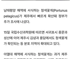뭐? 플라워 크랩? 뭔 소리래 이새끼가