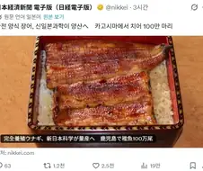 일본 장어 완전 양식에 성공.jpg