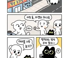 아깽이가 사람처럼 식당 가는 만화.manga