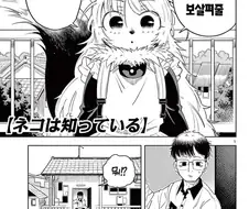 집에 고양이 메이드가 온.JPG