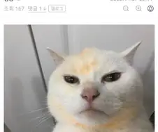 한국의 주술사