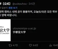 일본) 곰 출현 휴강