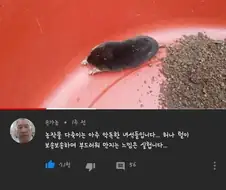 농작물을 다 죽이는 아주 악독한 녀석입니다. 그러나….jpg