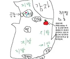 서울사람이 생각하는 대한민국 지도