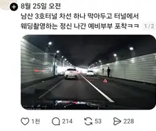 어서와 숲속 친구들