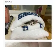 판매자도 당황한 구매 후기