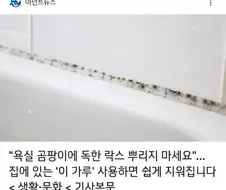 생활의 지혜 특