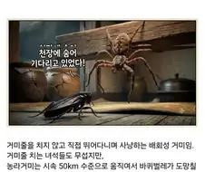 시골집에서 바퀴벌레 보기 힘든 이유.