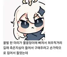 꿀벌을 구해준 사람.jpg