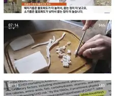 돼지고기 비계가 건강에 좋은 이유