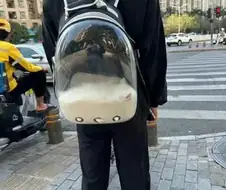 저기요! 우유 쏟아지겠어요!
