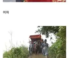 의외로 사람들이 모르는 세종의 업적