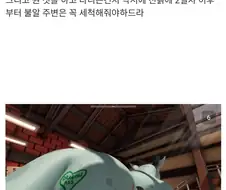드래곤워시 후기