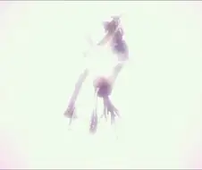 [에반게리온] 2호기랑 아스카 취급은 끝까지 구렸네