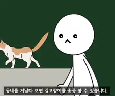 길고양이를 만지면 안되는 이유.jpg