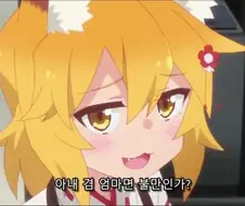 겸직 가능한 거.jpg