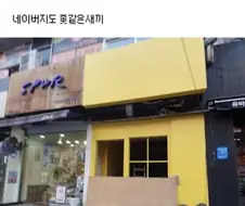 누구보다 빨랐던 네이버지도