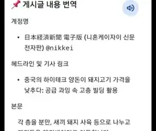 중국 돼지 공장